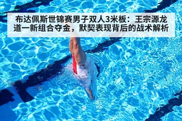 布达佩斯世锦赛男子双人3米板：王宗源龙道一新组合夺金，默契表现背后的战术解析